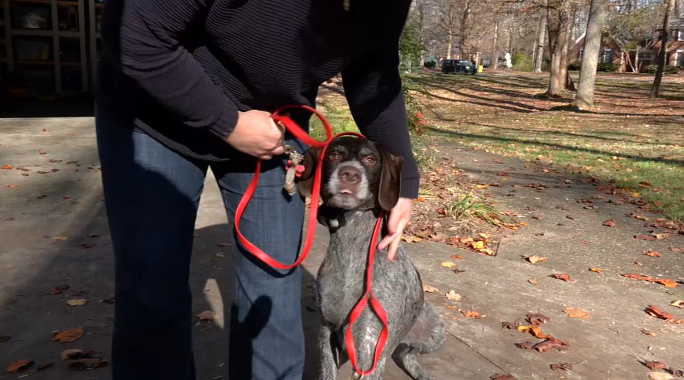 'Close call' | Coyote attack on dog in Oldham County prompts safety warnings